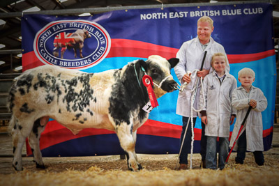 Class 7 - Gill - Hallfield Valor